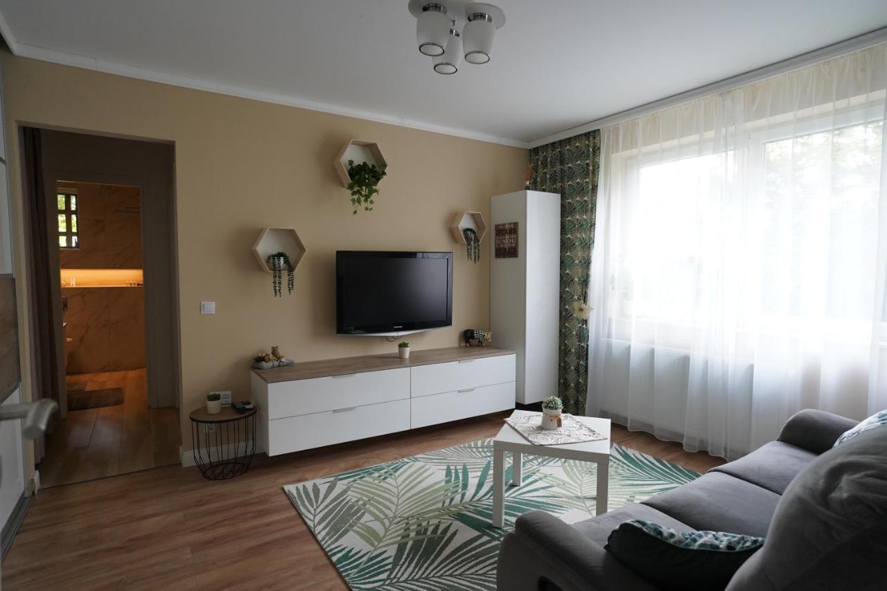 Apartment The Zen Den Cluj-Napoca